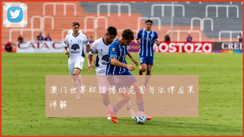 澳门世界杯赌博的危害与法律后果详解
